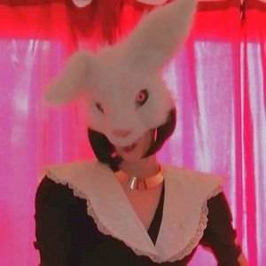 Meet your Posher, Diana